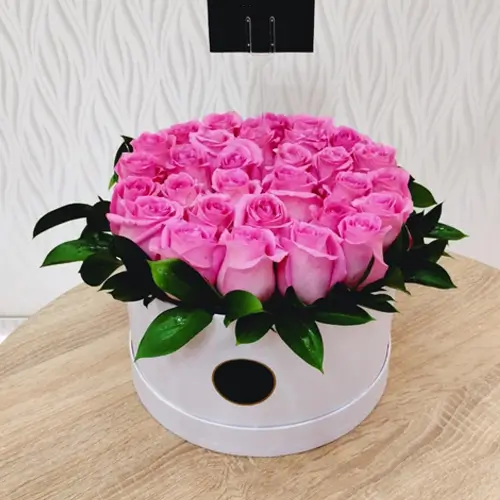 Beautiful Pink Rose in a Box