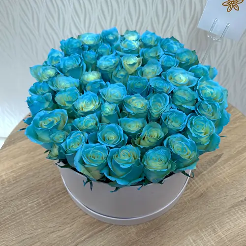 Blue Roses In Box