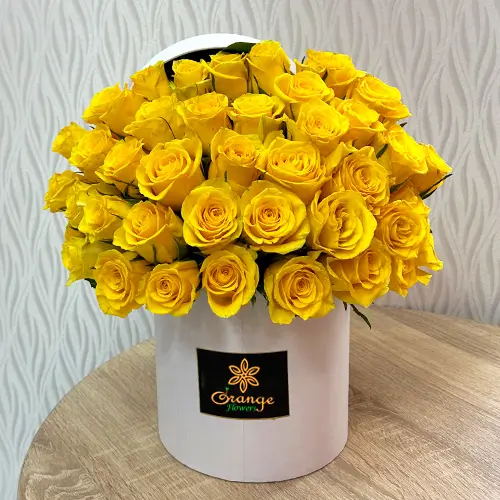 yellow rose in white box