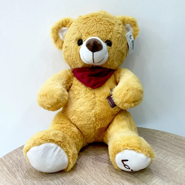 teddy bear brown soft toy